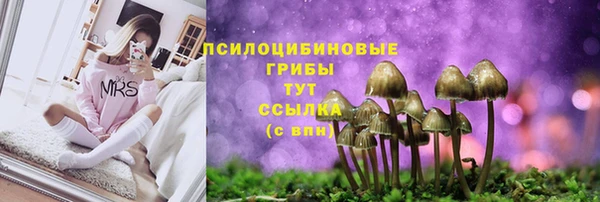 каннабис Баксан
