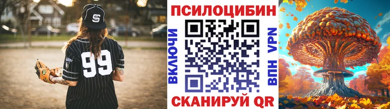 Галлюциногенные грибы Psilocybe  omg ТОР  Жиздра 